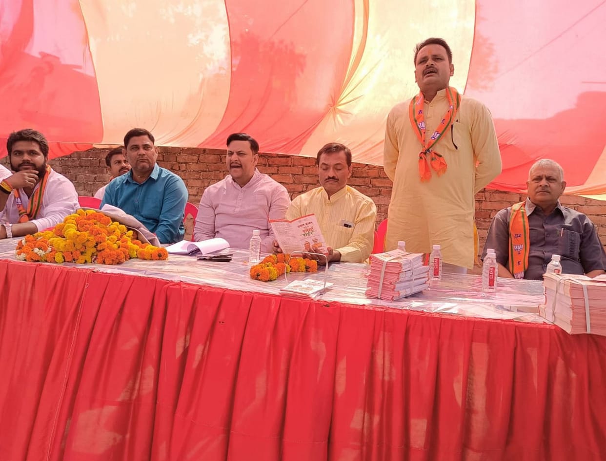 bjp election young nikay