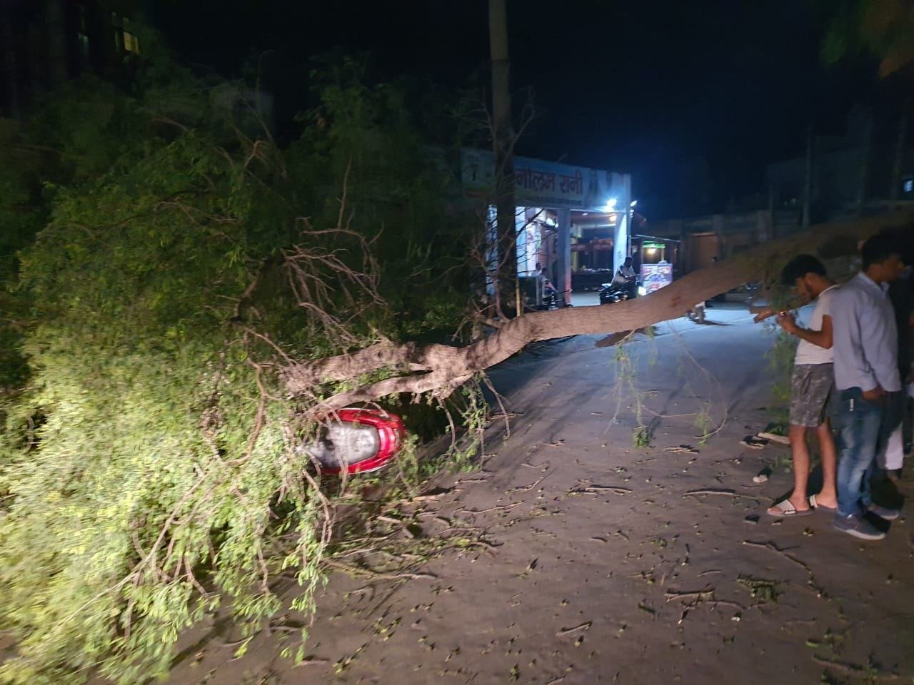 Tree fell on scooty in darkness, rider couple injured