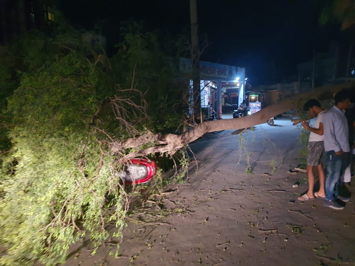 Tree fell on scooty in darkness, rider couple injured