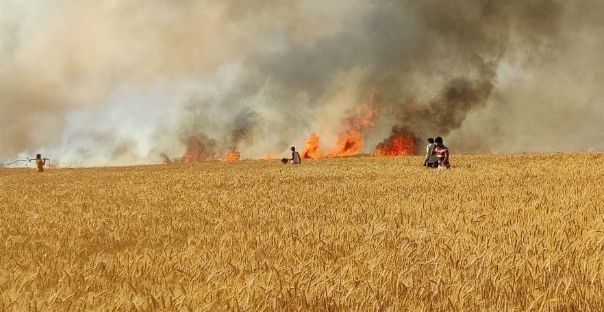 Fire again wreaked havoc in siddharthnagar