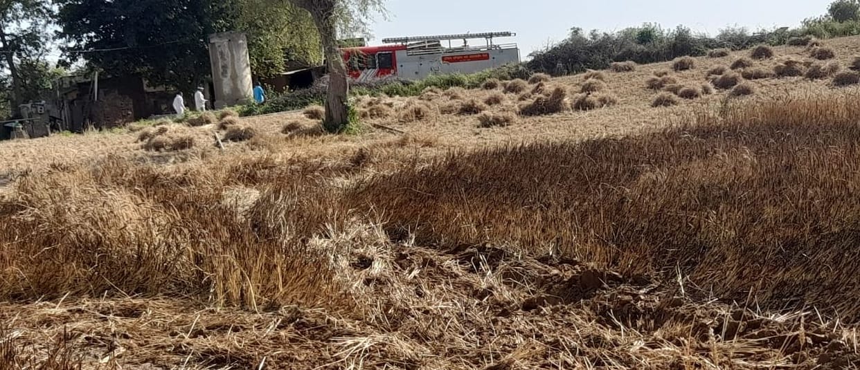 Wheat crop caught fire due to spark from electric wires