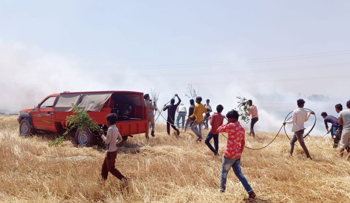 Fire broke out, 20 bighas of wheat crop turned to ashes