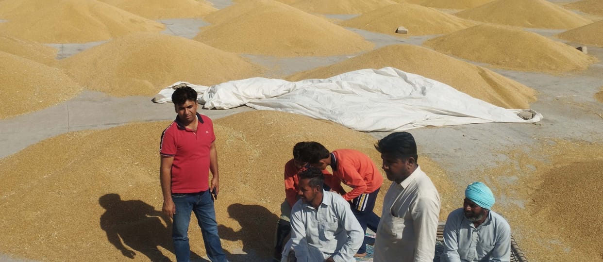 Farmers are waiting, wheat is not being procured