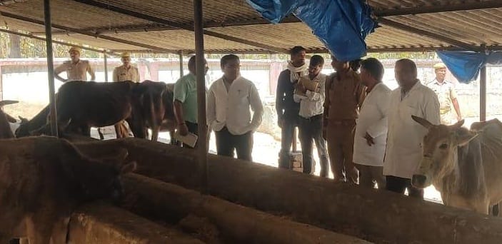 vishesh sachiv inspected goshala