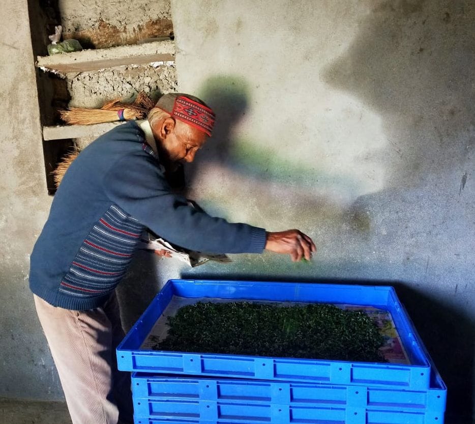 Construction of buildings for silkworm rearing