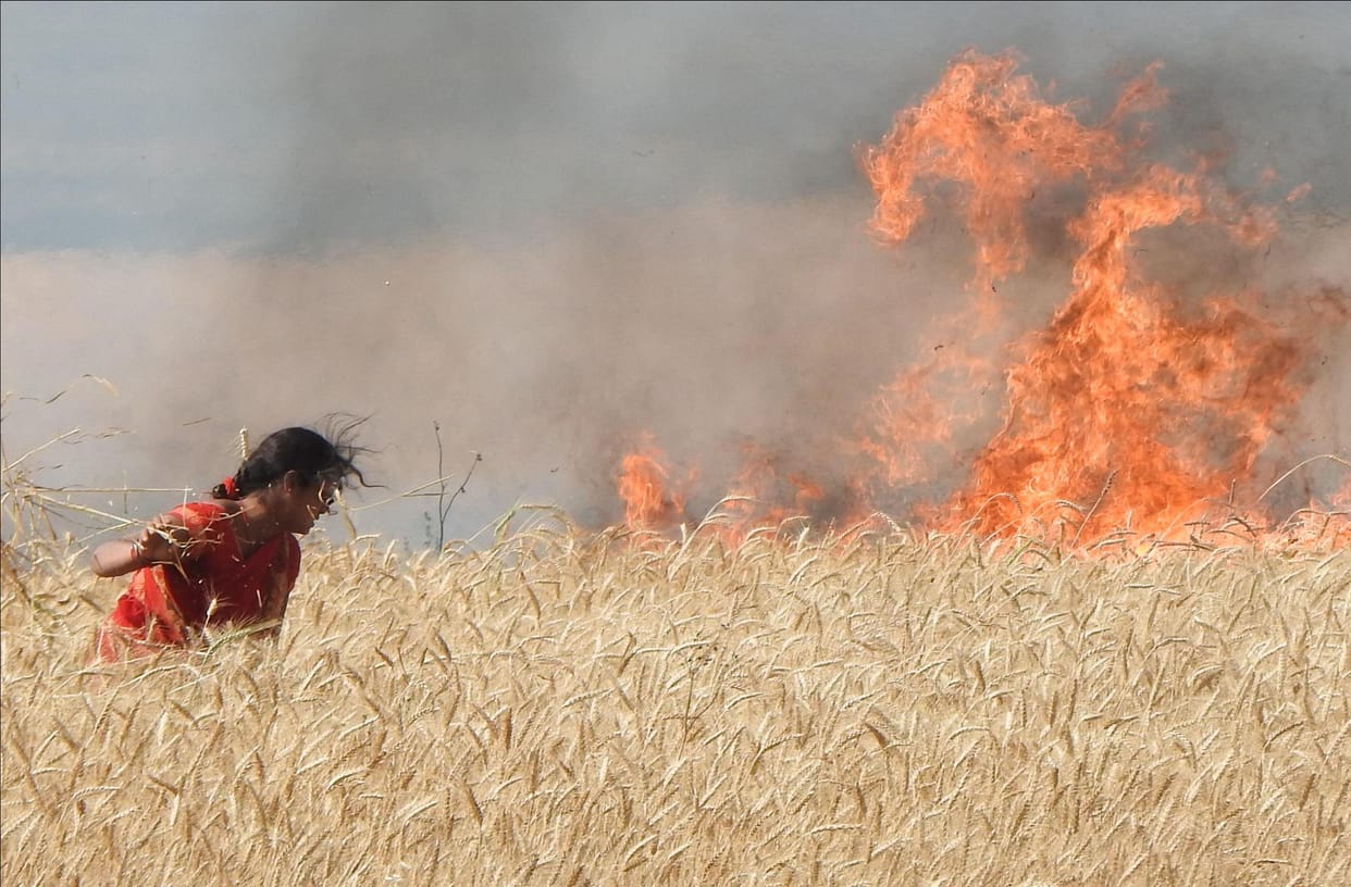 Siddharthnagar: 190 bighas of crop engulfed in flames