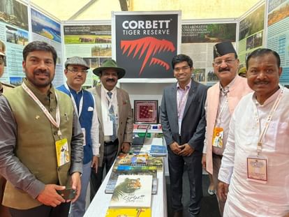 Uttarakhand: प्रदेश में पांच फीसदी बाघों की संख्या में वृद्धि की संभावना, कॉर्बेट में साल दर साल बढ़ते गए बाघ Tigers number five percent increase possibility in Uttarakhand news in hindi