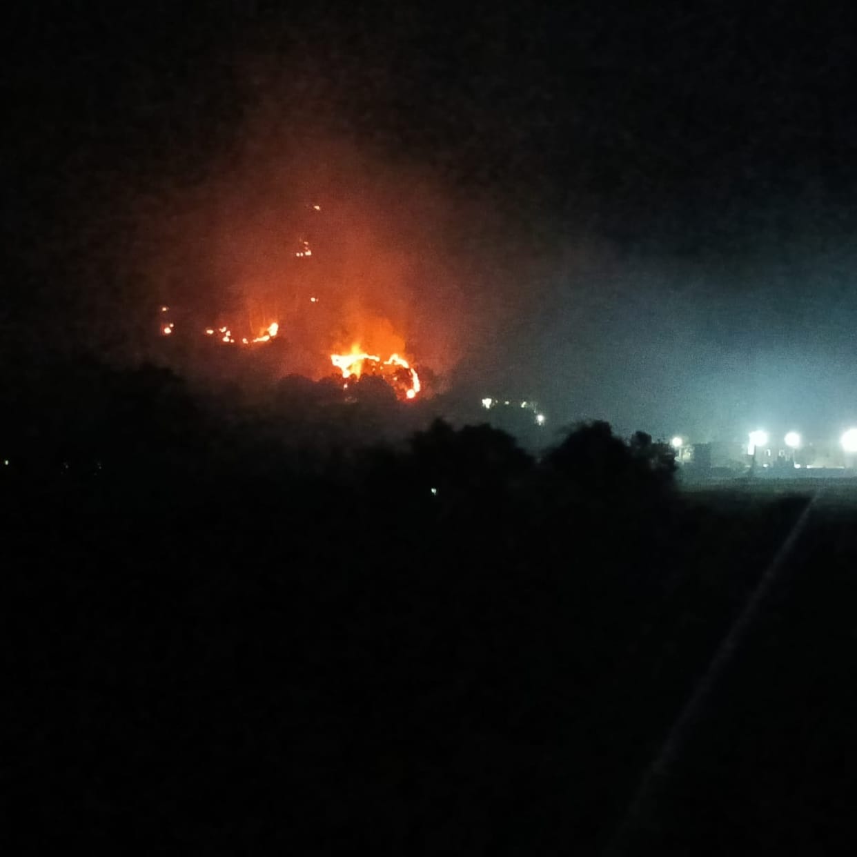 fire broke out in Motasimal forest of Bageshwar Uttarakhand news in hindi