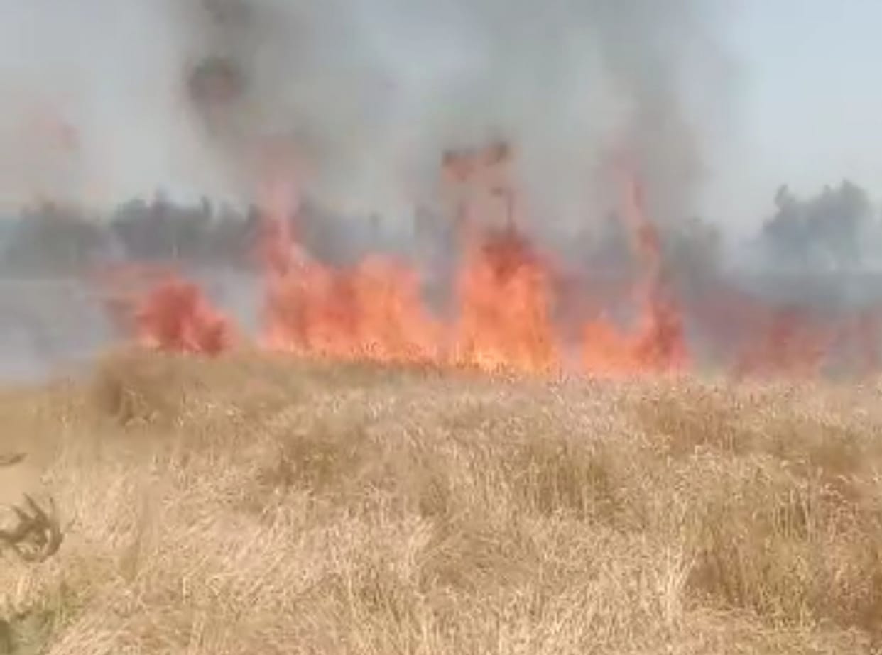 In the incidents of fire, many bighas of crops including two households were reduced to ashes.