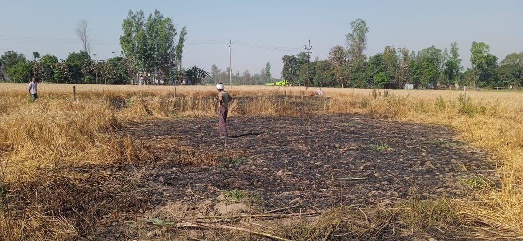 75 bigha crop burnt in basti