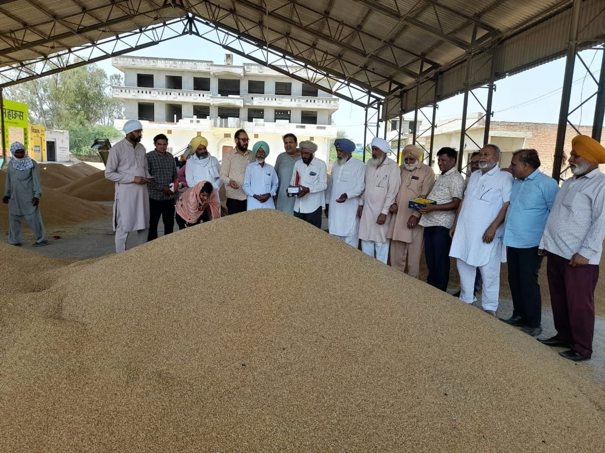 In protest against the terms of luster loss, the agents stopped the purchase of wheat, farmers were forced to sit in the market