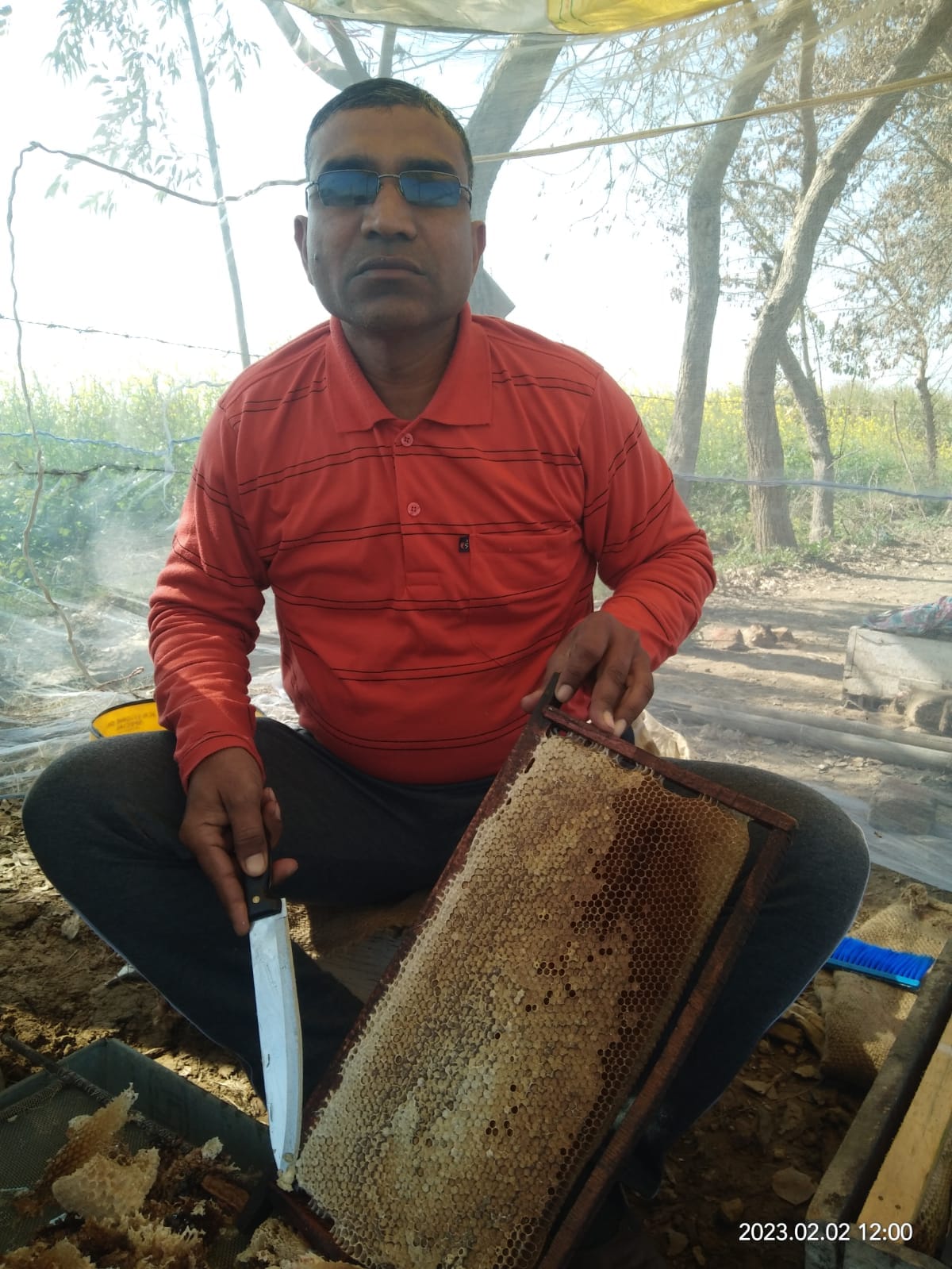 Rajkumar Tanwar found medicine for bee's merge, sweetness of honey has been dissolving in country and abroad for 24 years