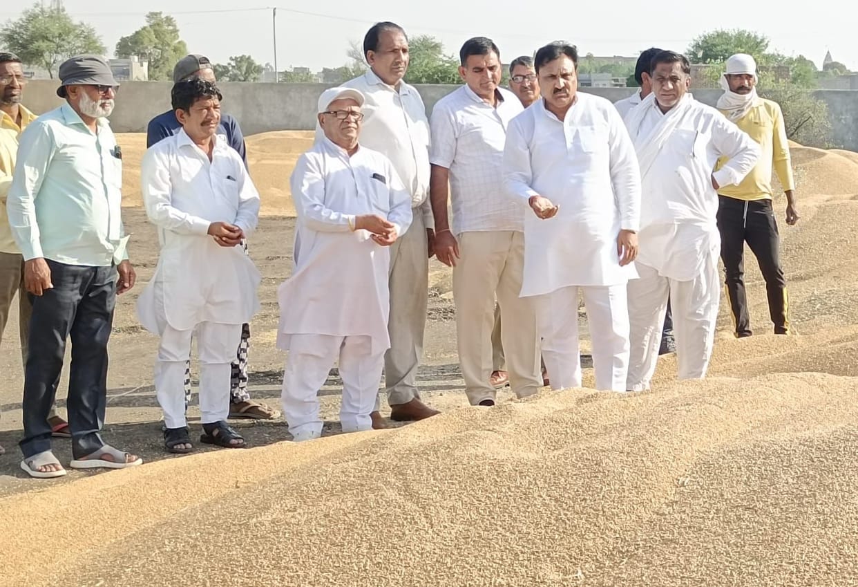 10 lakh quintals of wheat reached the mandis, waiting for 24 lakh quintals to be sold