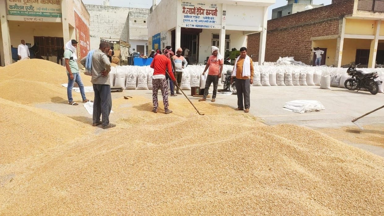 Other agencies including FCI bought 405 MT wheat, Bhakiyu opposes new guideline