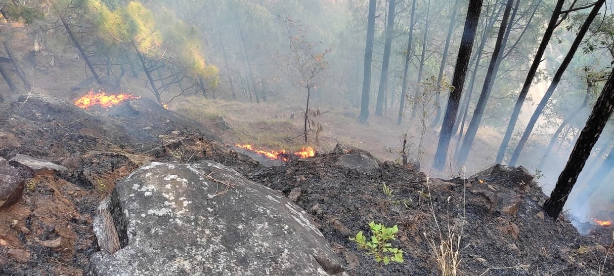 Forest Fire in Pithoragarh