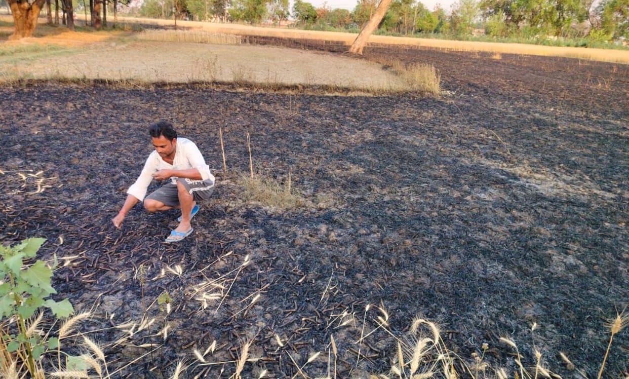 fira in agriculture land