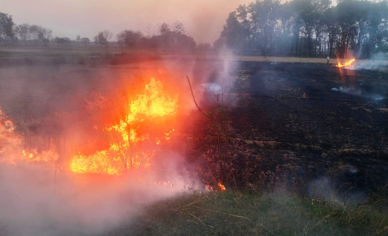 Havoc of fire: 10 houses and 103 bigha crop ashes