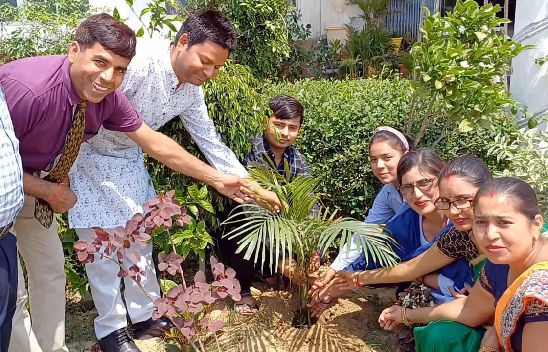 Trees and plants are the most beautiful gift of nature: VP Singh