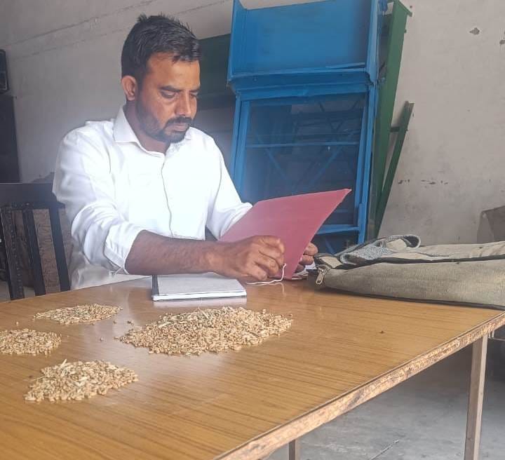 The arrival of wheat started in the market, the purchasing center remained deserted