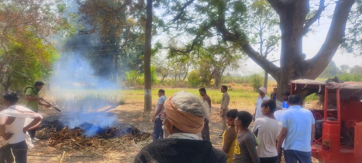 Farm fire, 20 bighas of crop ashes