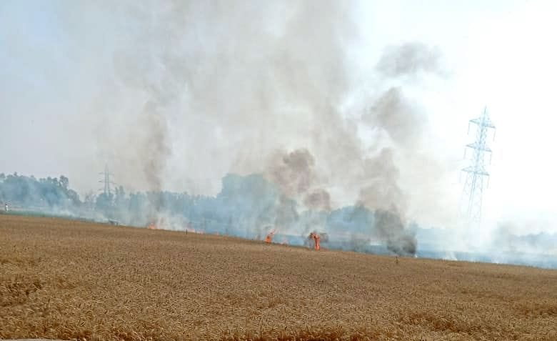 Four acres of wheat crop burnt due to fire in village Samain