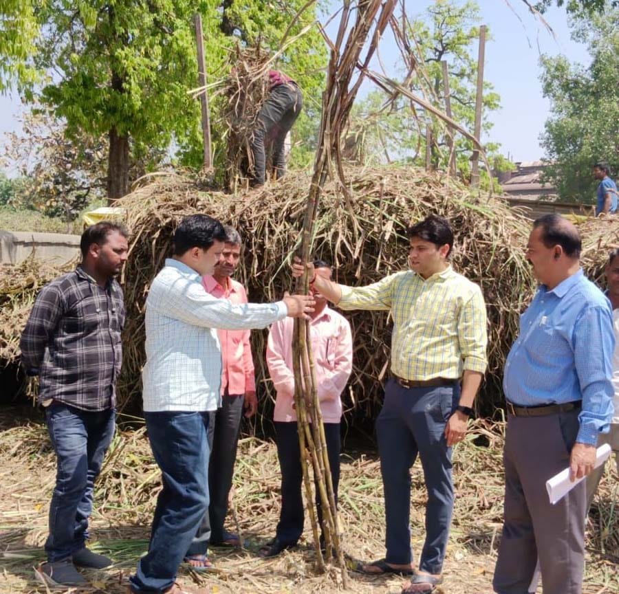 Sugarcane seeds distributed to farmers