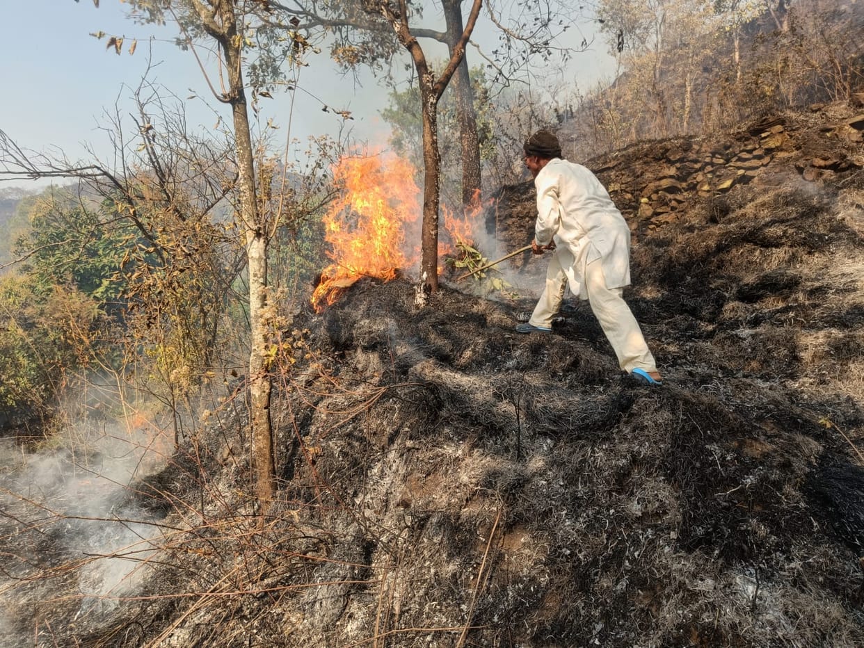 Civic aminities_ fire in jungle.