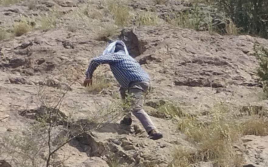 Search campaign in search of leopard continued on the third day