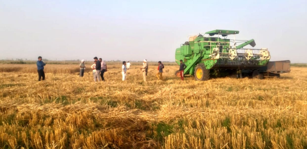 Administration cut wheat in Ulai Kheda Kham on the third day as well