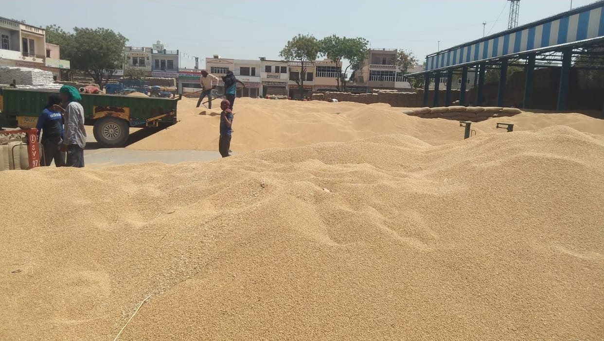 Despite the tender, the problem increased due to non-lifting of wheat