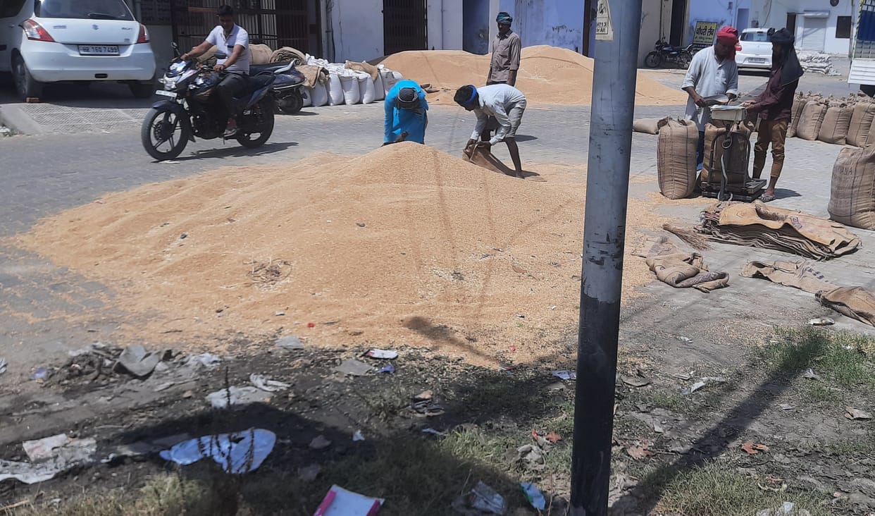 Technical fault in FCI's cut, Bhiwani's grain market filled with 65 thousand cuts