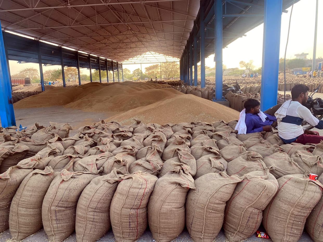 The lifting continues with the purchase of wheat in Rajound's grain market