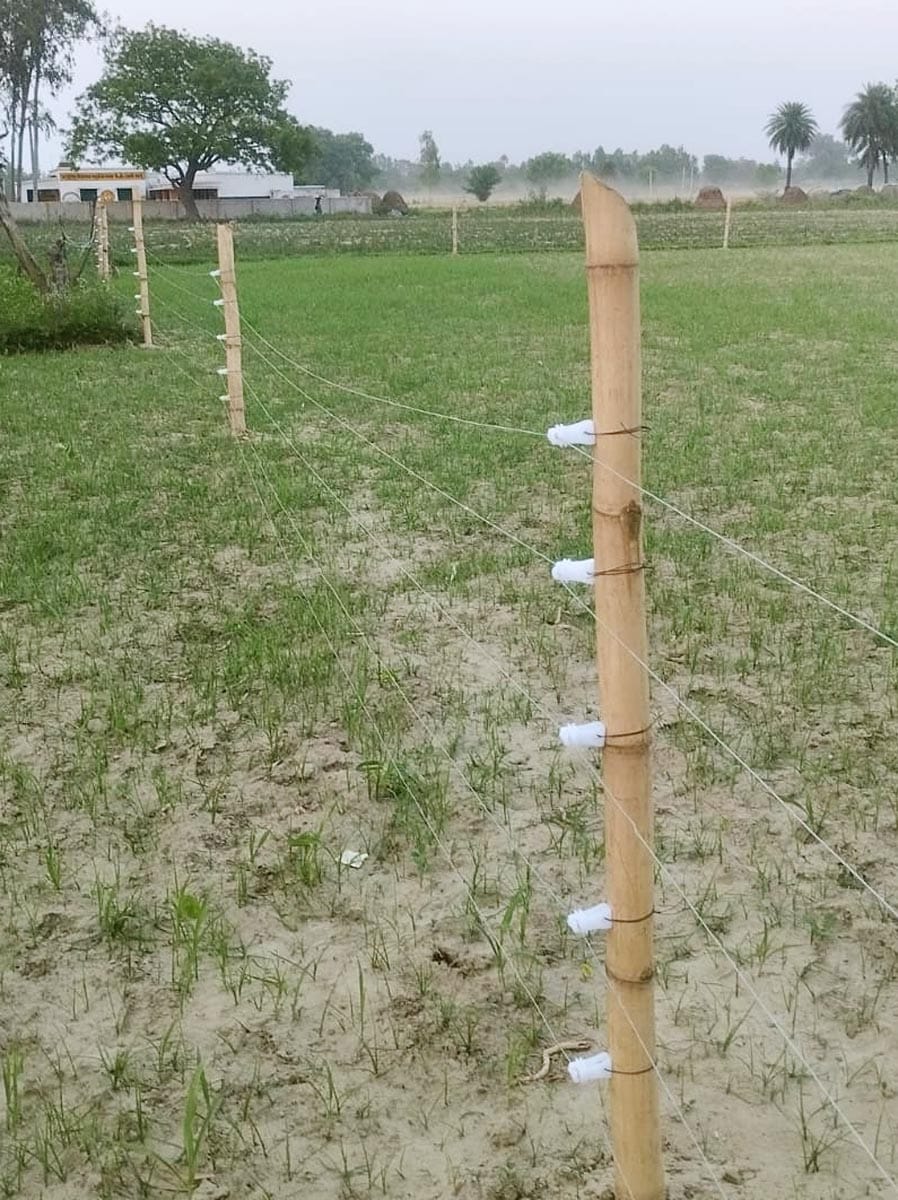 The hassle of guarding crops ends with the use of blow machine