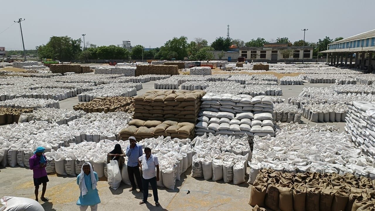 Due to non-lifting, Sonipat grain market was filled with wheat sacks and pallets were planted.
