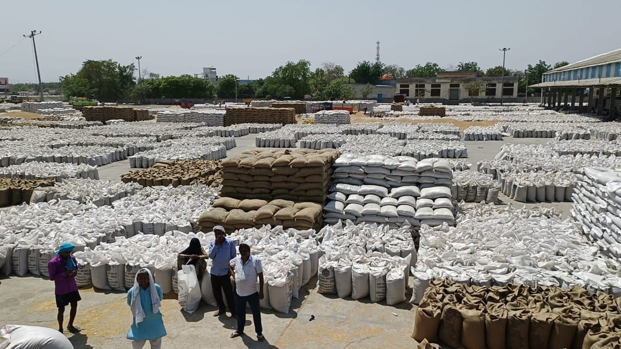 Due to non-lifting, Sonipat grain market was filled with wheat sacks and pallets were planted.