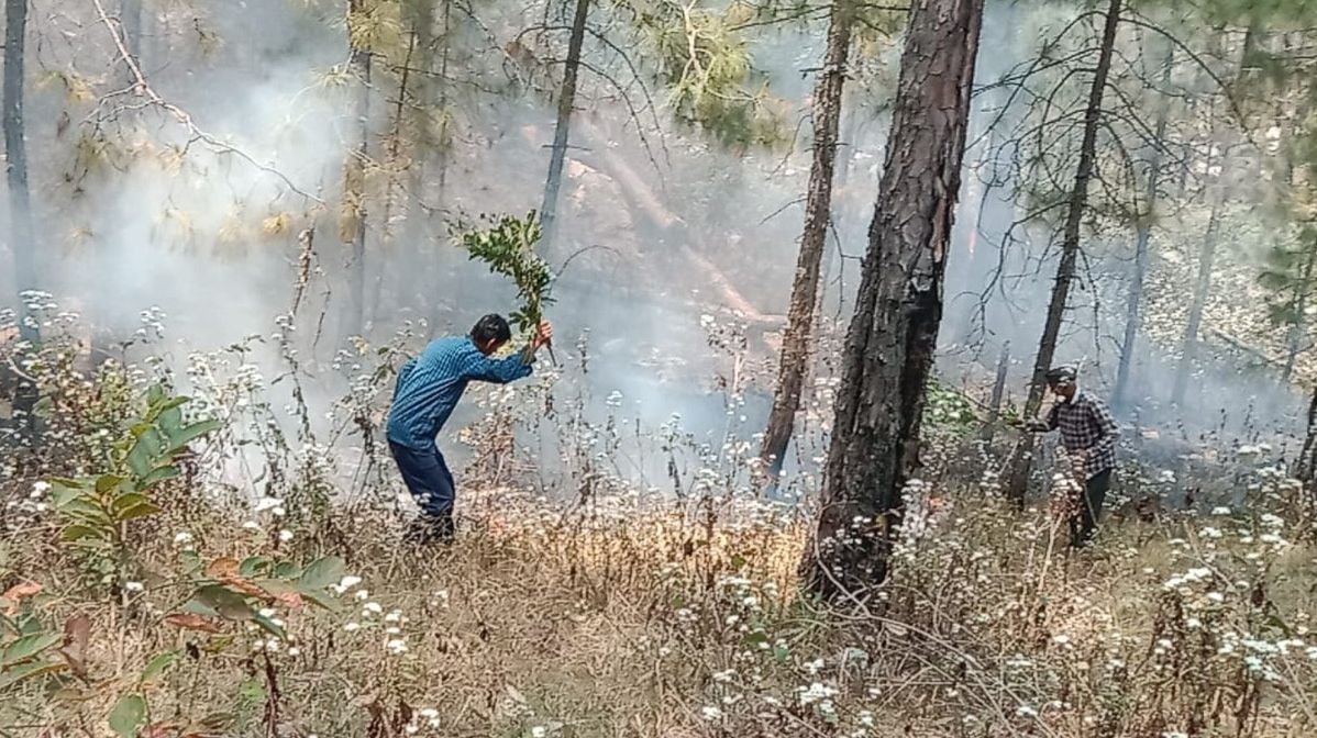 Civic aminities_ fire in jungle.