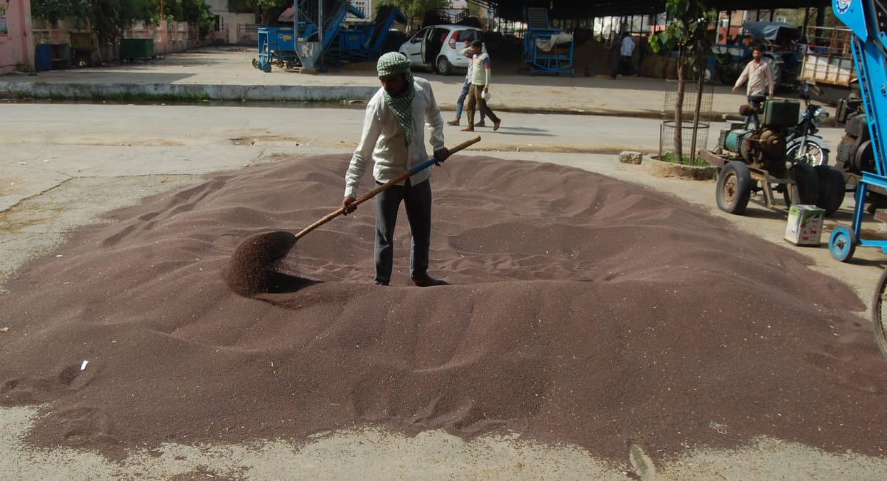 Situation worsened in Fatehabad's mustard market, farmers are not getting drinking water
