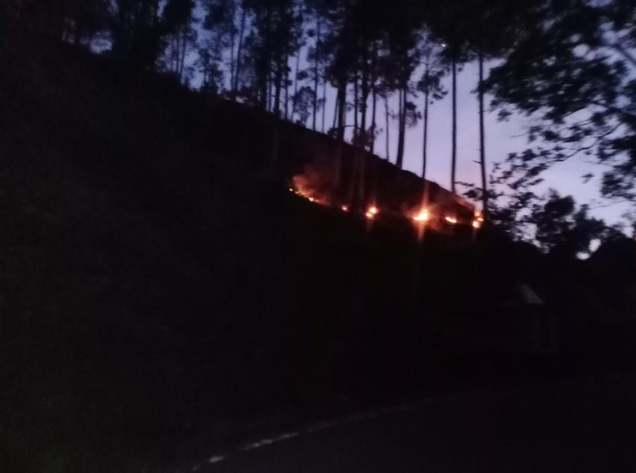 More than 15 hectares of forest burnt in two days