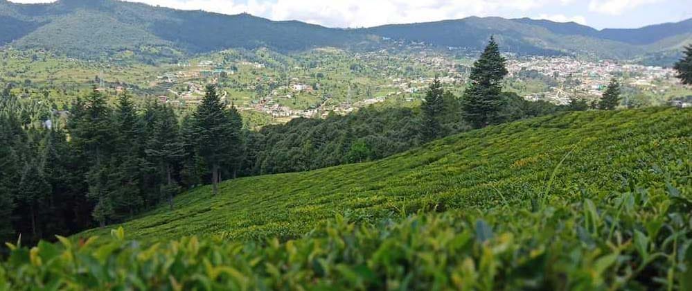 No Roapway in Champawat