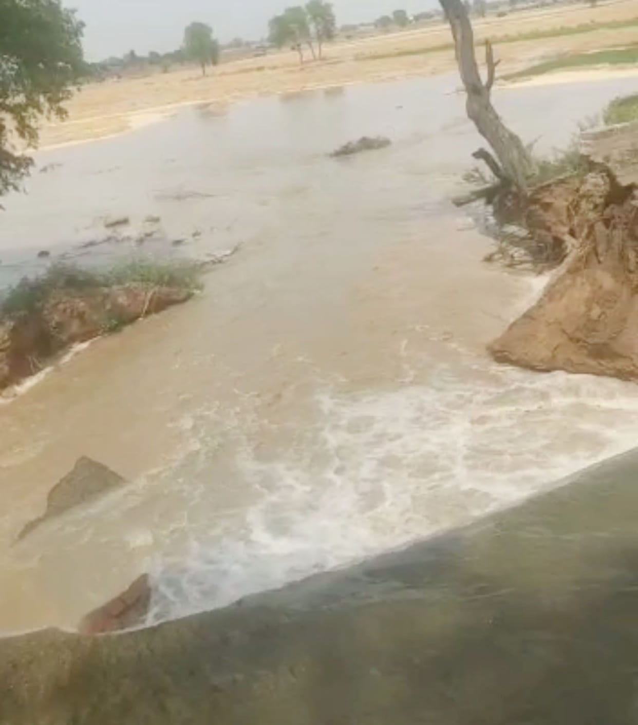 Banmandori distributary canal broken, crack in about 60 feet