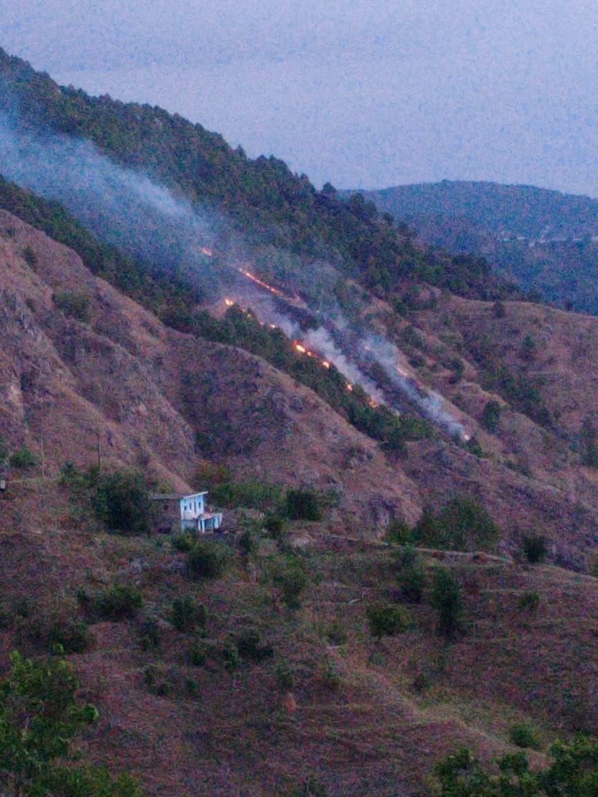 More than three forests are burning in Salt for two days, forest wealth worth lakhs destroyed