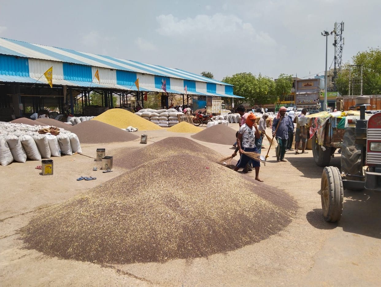 crops are not being lifted from mandi farmers are upset