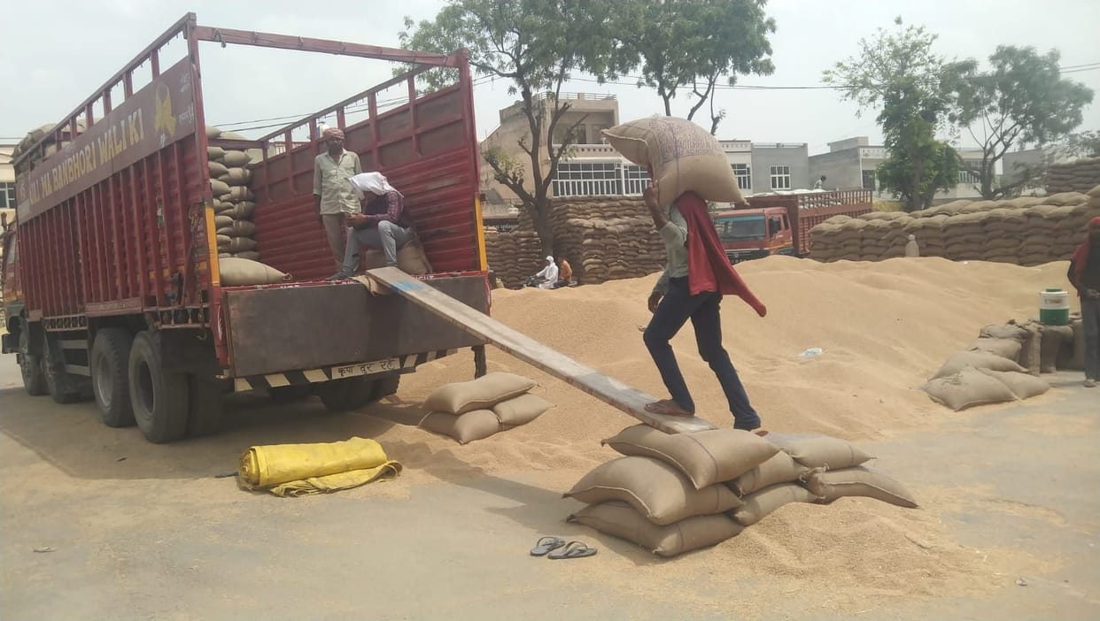 Market filled with wheat due to less lifting, farmers forced to unload grain at the gate