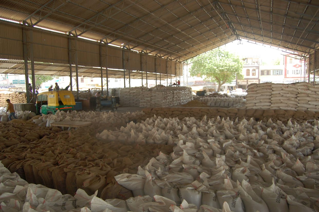 Fatehabad is fifth in the district with maximum wheat arrival in the state and third in lifting