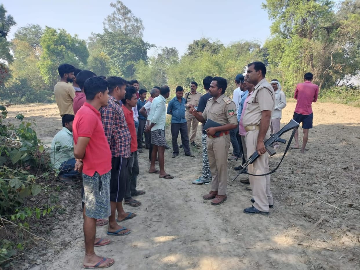 Tiger kills two calves near Sunderpur village