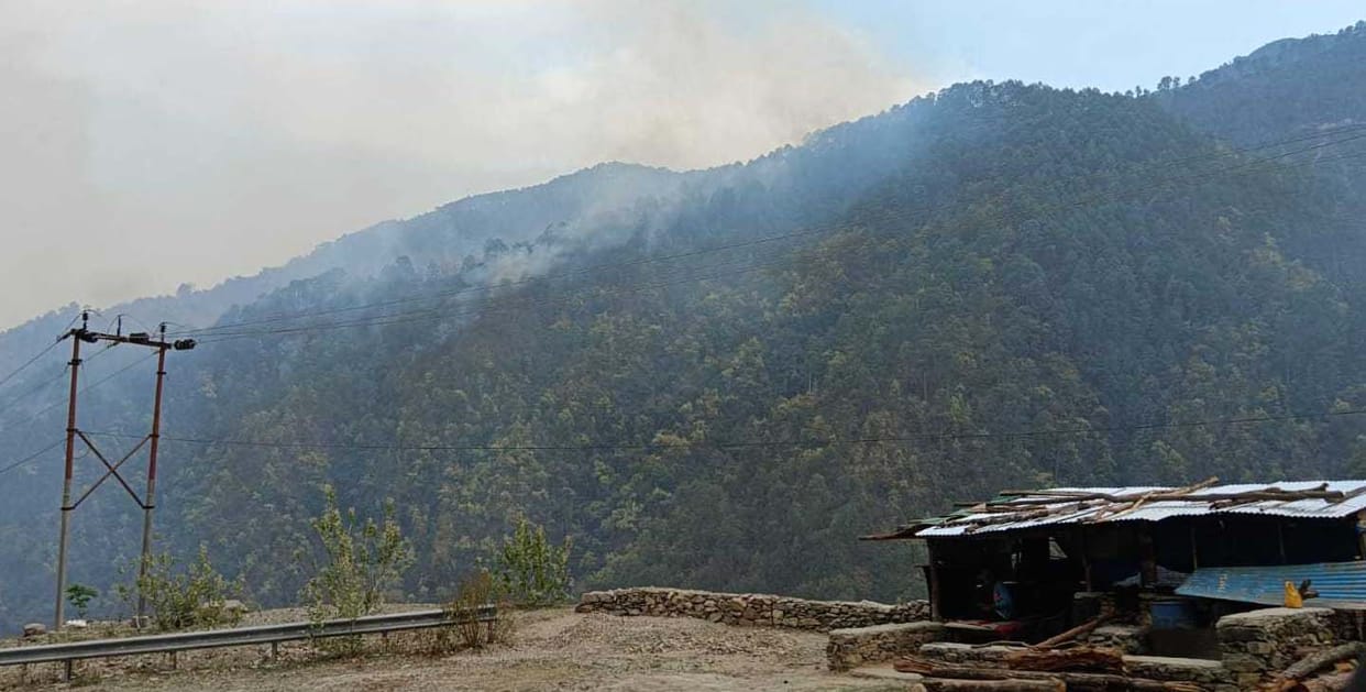 Fire in jungle in champawat.