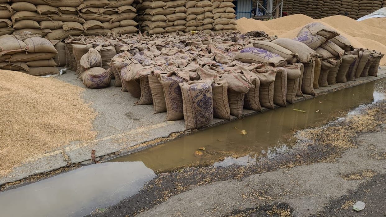 Farmers' gold soaked in the market due to rain