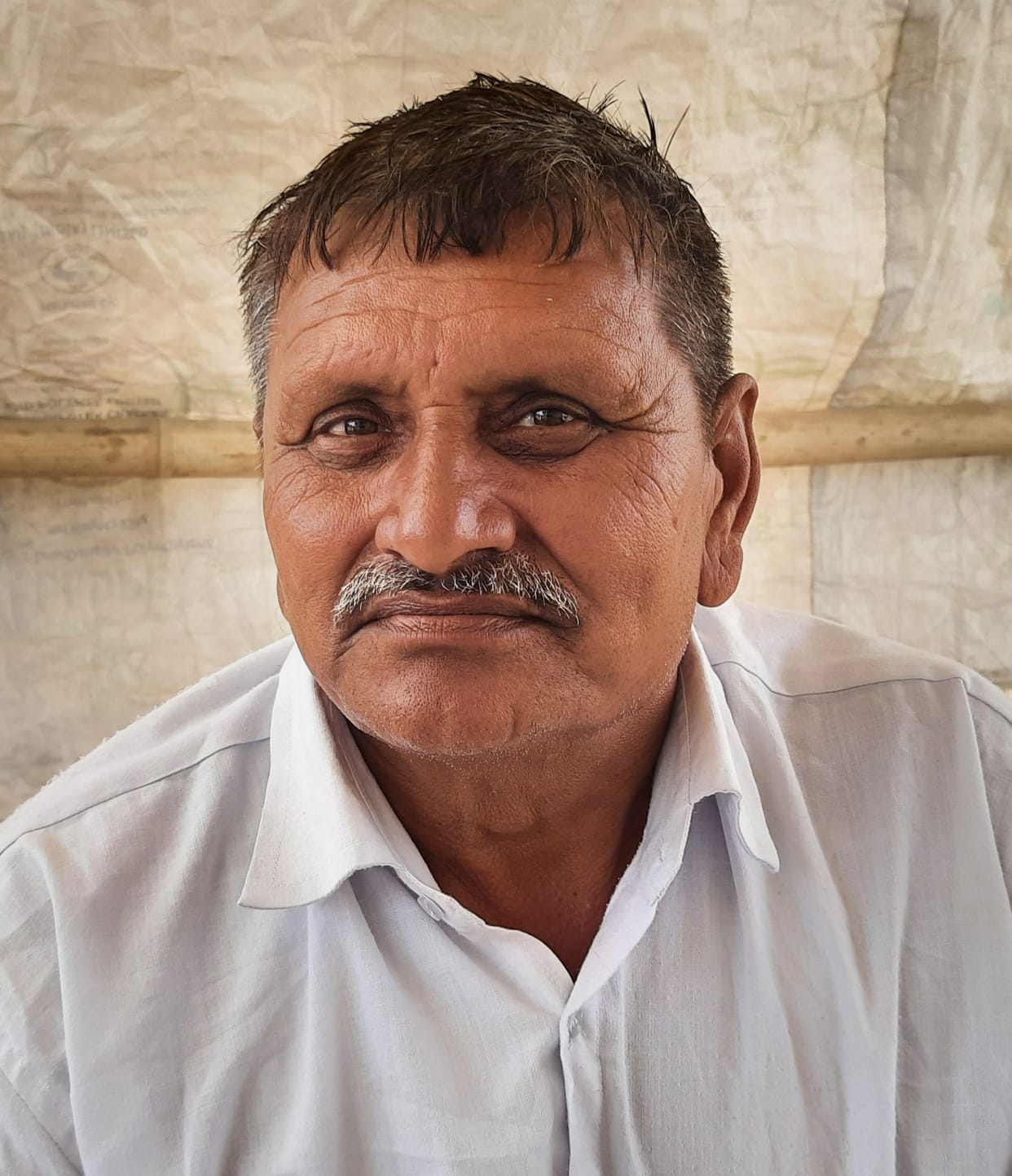 Wheat procurement stopped for four days in Sanpeda, farmers upset