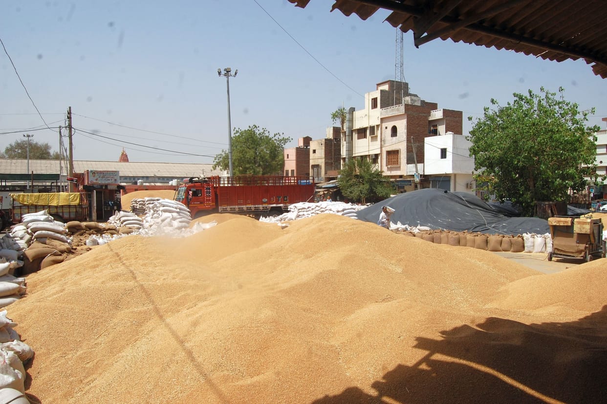 Only 50 percent wheat was lifted in Fatehabad