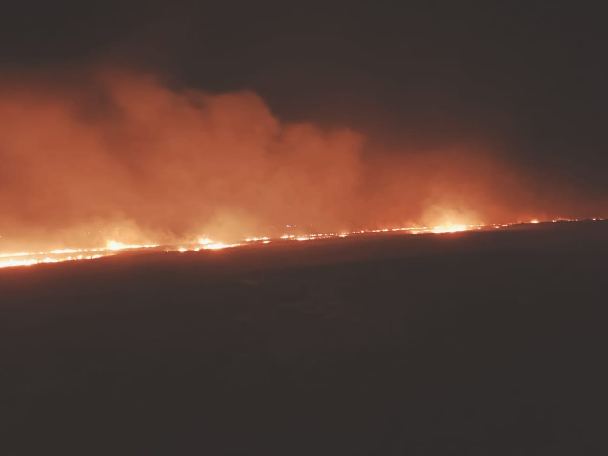 fire on wheat danthal